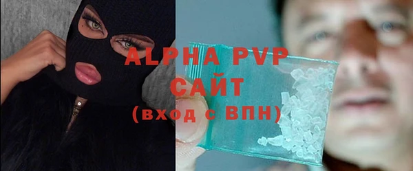 индика Балахна