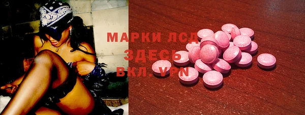 индика Балахна